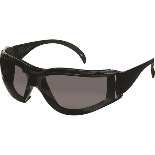 CeeTec DX Safety Glasses, Grey Lens, Anti-Fog/Anti-Scratch, Meets/Exceeds CSA Z94.3 Pronet Distribution