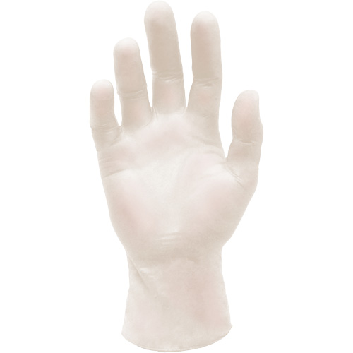 Synthetic Stretch Medical Examination Gloves, Large, Vinyl, 5-mil, Powder-Free, White, Class 2 Pronet Distribution