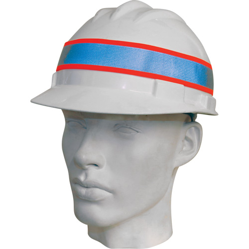 Orbis&reg; "UNI" Reflective Band Pronet Distribution