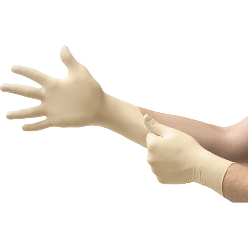 Gants d'examen MICROFLEX Ultra One, 6,5/7/Petit, Latex, 9,8 mils, Sans poudre, Naturel, Classe 2 Pronet Distribution
