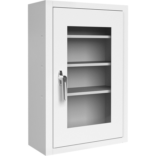 Lockable Medicine Cabinet with Plexiglas Door Pronet Distribution