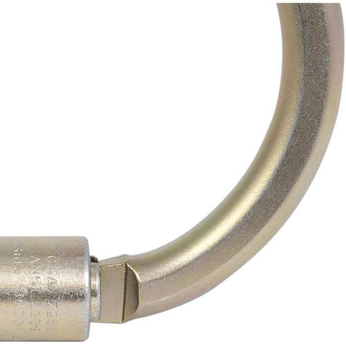 CP-04011-1 Zinc Plated Carabiner with 2" Gate Opening, Steel Pronet Distribution