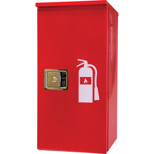 Armoires ext&eacute;rieures robustes pour extincteurs, 14" la x 28" h x 10" p Pronet Distribution
