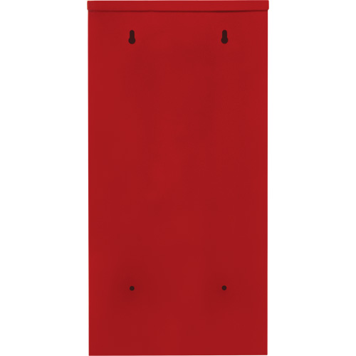 Armoires ext&eacute;rieures robustes pour extincteurs, 14" la x 28" h x 10" p Pronet Distribution