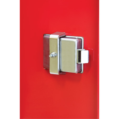 Armoires ext&eacute;rieures robustes pour extincteurs, 14" la x 28" h x 10" p Pronet Distribution