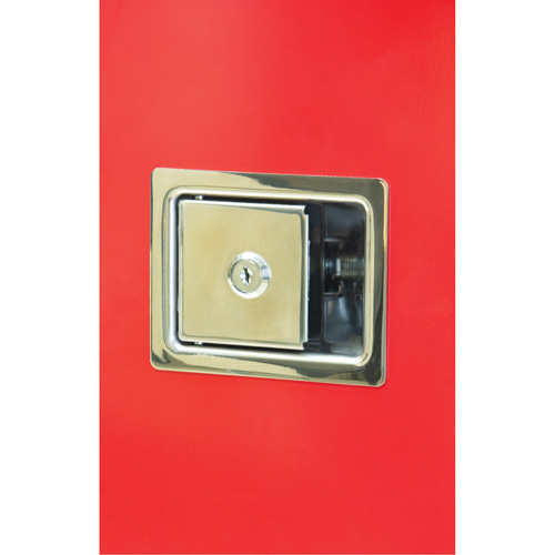 Armoires ext&eacute;rieures robustes pour extincteurs, 14" la x 28" h x 10" p Pronet Distribution