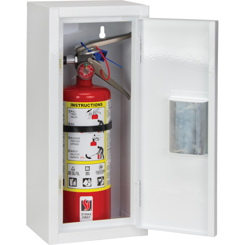 Armoire int&eacute;rieur pour extincteur, 8" la x 18" h x 6" p Pronet Distribution
