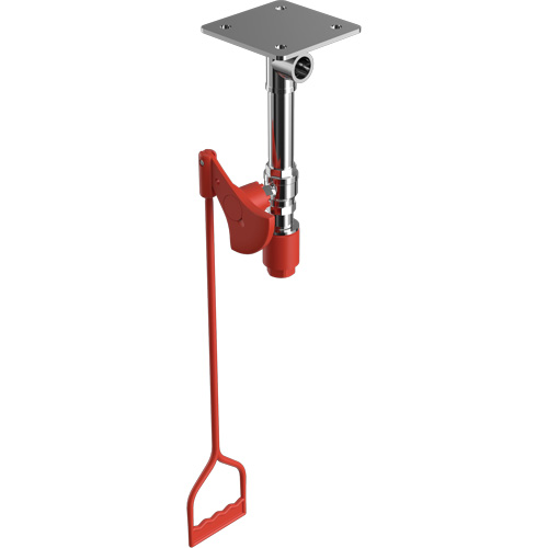 Drench Shower, Ceiling-Mount Pronet Distribution