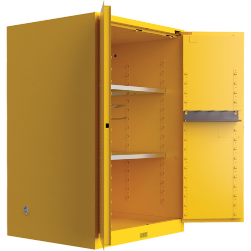 Armoire de s&eacute;curit&eacute; pour produits inflammables Utili-Guard+, 45 gal., 2 Porte(s), 43" La x 65" h x 22" p Pronet Distribution