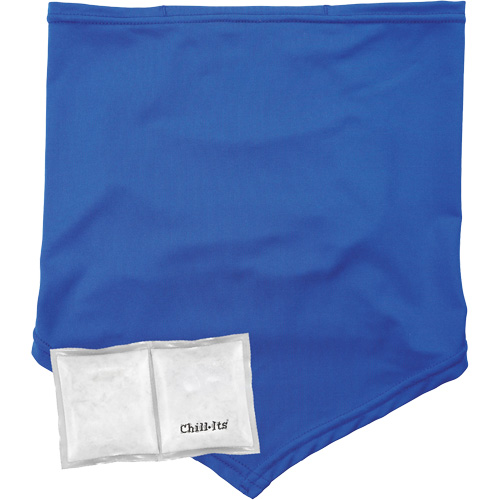 Cache-cou/bandana de refroidissement Chill-Its 6482 avec sachet r&eacute;frig&eacute;rant &agrave; changement de phase r&eacute;utilisable, petit/moyen, Bleu Pronet Distribution
