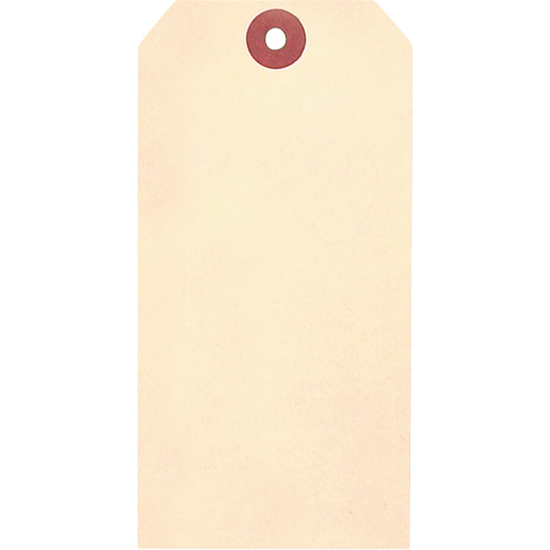 &eacute;tiquettes vierges en papier cartonn&eacute; de manille, Papier cartonn&eacute;, 2-5/8" la x 5-1/4" h Pronet Distribution