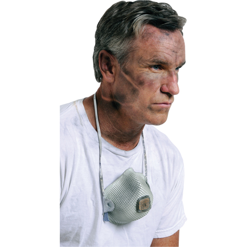 Respirateurs  contre les particules 2700, N95, Certifi&eacute; NIOSH, Grand/Moyen Pronet Distribution