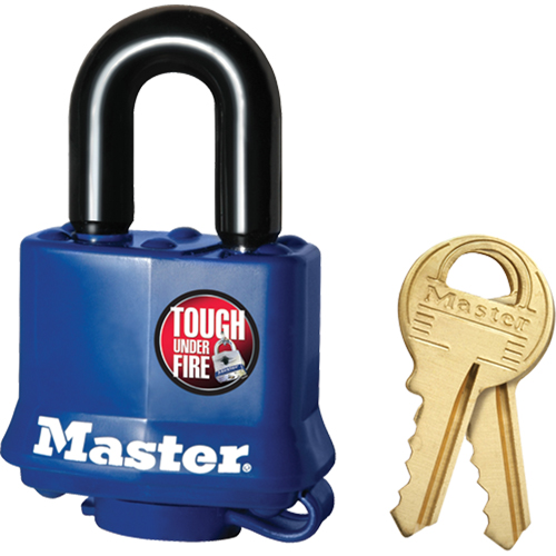 Cadenas r&eacute;sistant aux intemp&eacute;ries, Cl&eacute;s diff&eacute;rentes, Acier lamin&eacute;, Largeur de 1-9/16" Pronet Distribution