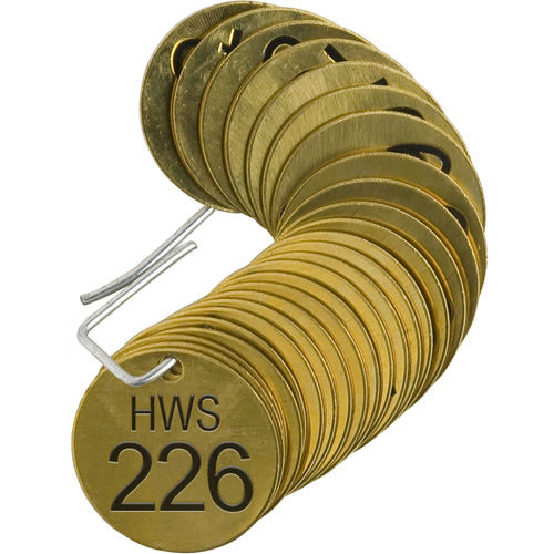 Numbered "HWS" Valve Tags, # 226-250, Brass, 1.5" dia Pronet Distribution