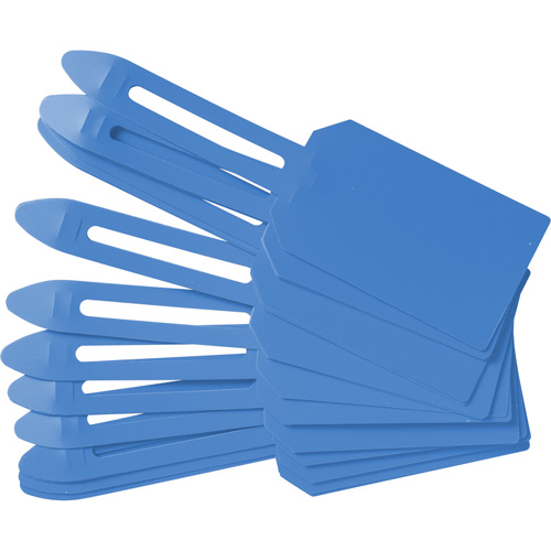 &eacute;tiquettes de cadenassage vierges en plastique, Plastique, 3-1/4" la x 5-4/5" h, Vierge Pronet Distribution