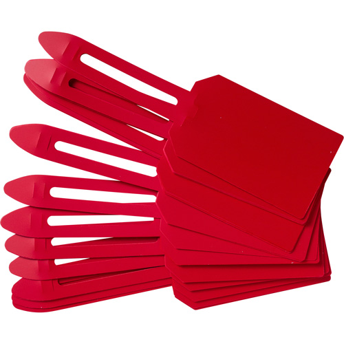 Blank Plastic Lock-On Tags, Plastic, 3-1/4" W x 5-4/5" H, Blank Pronet Distribution