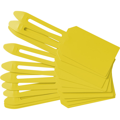 Blank Plastic Lock-On Tags, Plastic, 3-1/4" W x 5-4/5" H, Blank Pronet Distribution