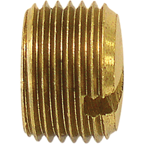 Pipe Plug (Slotted), 1/8" Dia., Brass Pronet Distribution