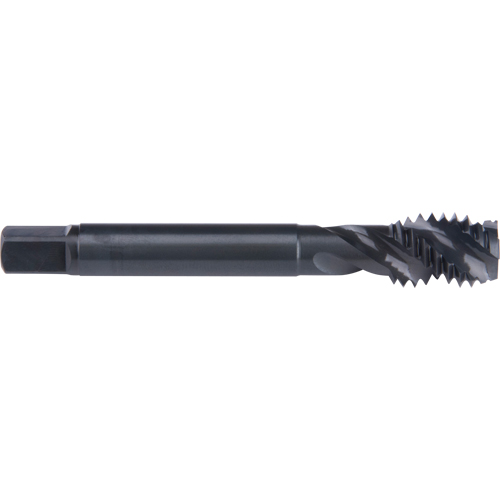 Taraud &agrave; cannelure en spirale 45°, Acier rapide au cobalt, Filet de 7/8"-9, 4-11/16" l Pronet Distribution