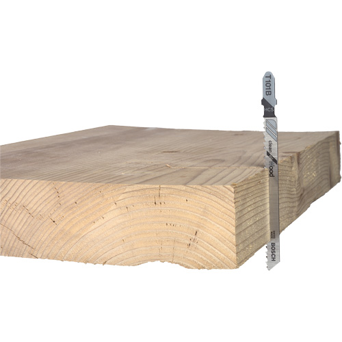 Wood Cutting Jigsaw Blade, High-Carbon Steel, T-Shank, 4" L, 10 TPI Pronet Distribution