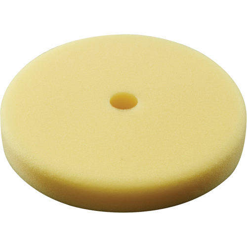 Polishing Pad, 7" Dia. Pronet Distribution