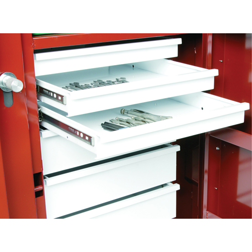 &eacute;tabli roulant, 49-7/8" la x 40-5/8" h x 26-7/8" p, Capacit&eacute; de 24,6 pi³ Pronet Distribution