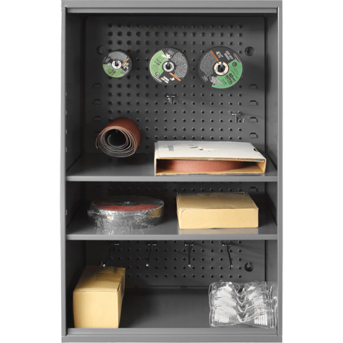 Armoire d'entreposage de produits abrasifs avec panneau perfor&eacute;, Acier, 19-7/8" x 14-1/4" x 32-3/4", Gris Pronet Distribution