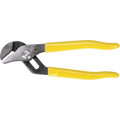 Pinces multiprise, 6-1/2" Pronet Distribution