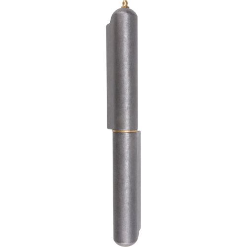 Charni&egrave;re &agrave; souder, 1,102" dia. x 10,236" lo, Acier doux a/goupille fixe en acier Pronet Distribution