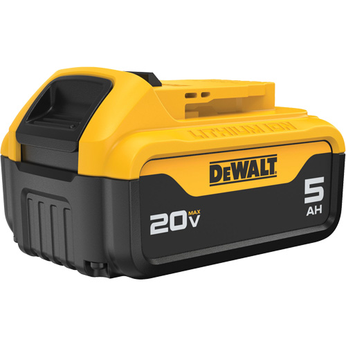Bloc-piles Max XR Premium, Lithium-ion, 20 V, 5 A Pronet Distribution