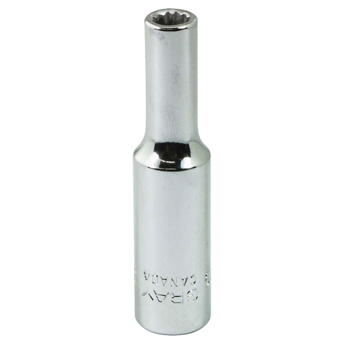 Socket, 3/16", 1/4" Drive, 12 Points Pronet Distribution