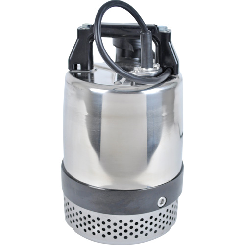 Pompe utilitaire s&eacute;rie FLS/FS, 1 CV, 80 gal./min, 115 V, 10 A Pronet Distribution