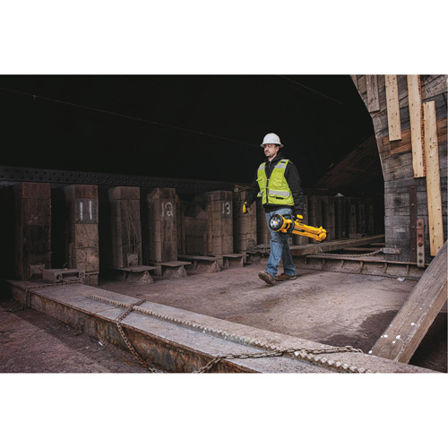 20V Max Cordless Tripod Light, LED, 3000 Lumens, Plastic Housing Pronet Distribution