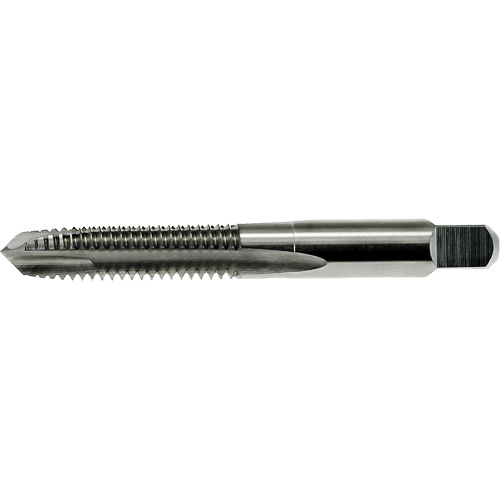 Taraud &agrave; pointe spiral&eacute;e DRILLCO, Acier rapide, Filet de M7x1 Pronet Distribution