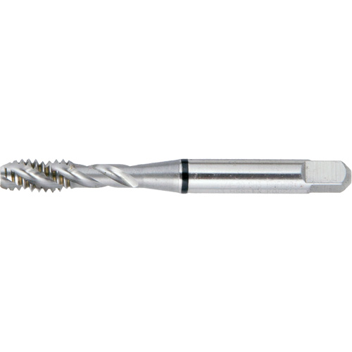 Taraud BT super haute performance &agrave; cannelure spiral&eacute;e DRILLCO, Acier rapide, Filet de 10-32, 2-3/8" l Pronet Distribution