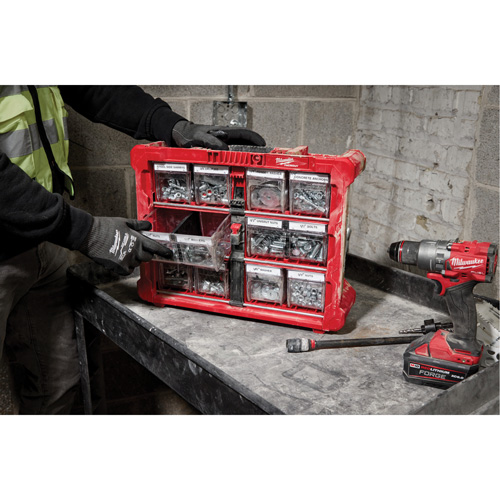 PACKOUT Tilt Bin Organizer, 15-1/5" x 19-7/10" x 6-7/10", Black/Red Pronet Distribution