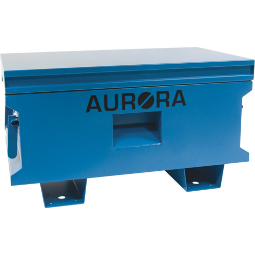 Coffre &agrave; outils de chantier, 33" x 20-3/10" x 18-3/10", Acier, Bleu Pronet Distribution