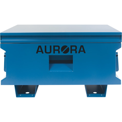 Coffre &agrave; outils de chantier, 33" x 20-3/10" x 18-3/10", Acier, Bleu Pronet Distribution