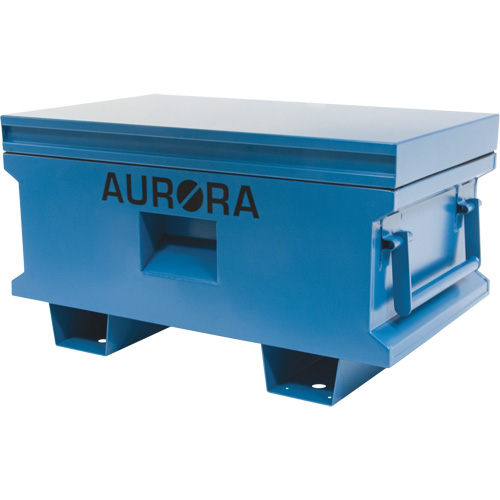 Coffre &agrave; outils de chantier, 33" x 20-3/10" x 18-3/10", Acier, Bleu Pronet Distribution