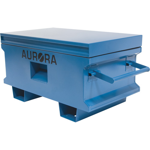 Coffre &agrave; outils de chantier, 33" x 20-3/10" x 18-3/10", Acier, Bleu Pronet Distribution