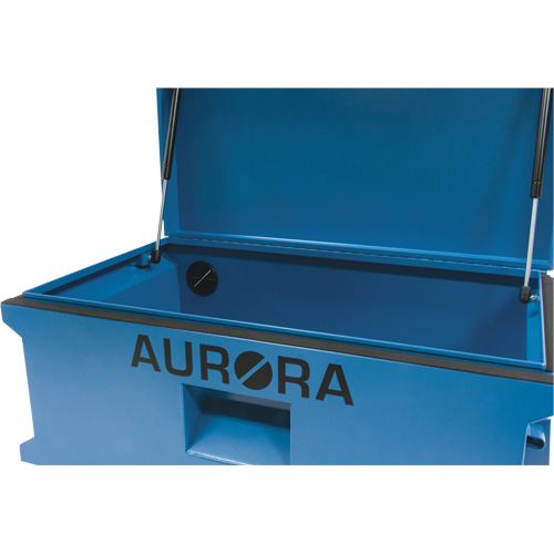 Coffre &agrave; outils de chantier, 33" x 20-3/10" x 18-3/10", Acier, Bleu Pronet Distribution