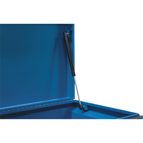 Coffre &agrave; outils de chantier, 33" x 20-3/10" x 18-3/10", Acier, Bleu Pronet Distribution