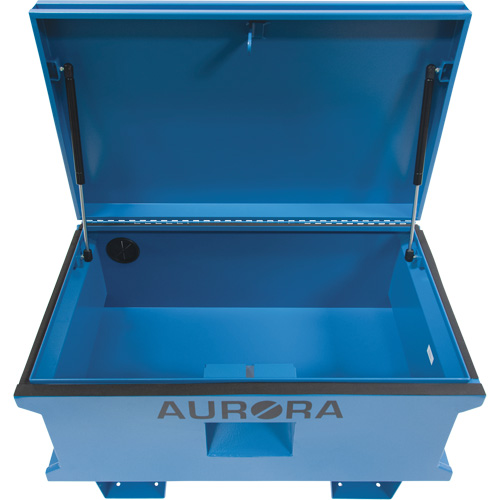 Coffre &agrave; outils de chantier, 33" x 20-3/10" x 18-3/10", Acier, Bleu Pronet Distribution