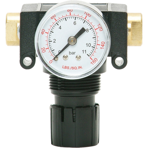 D&eacute;tendeur &agrave; piston en ac&eacute;tal MODULAIR 200, 1/4" NPT, PSI max. de 150 psi, Canalisation/Modulaire Pronet Distribution