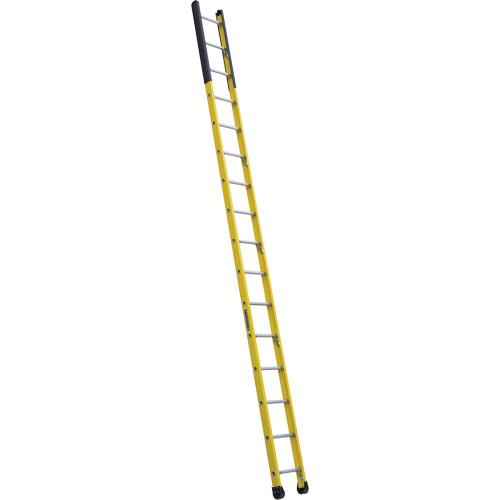 Single Manhole Ladder, 16', Fibreglass, 375 lbs., CSA Grade 1AA Pronet Distribution