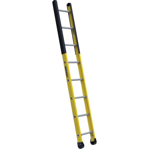 &eacute;chelle &eacute;troite pour trou d'homme, 8', Fibre de verre, 375 lb, CSA calibre 1AA Pronet Distribution