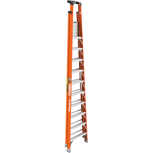 Escabeau avec plateforme Safespace, 10', Cap. De 300 lb Pronet Distribution