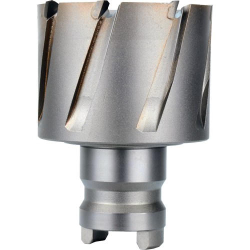 Fraise avec tenon &agrave; changement rapide Drive Hawg, Diam&egrave;tre de 2", Acier, Profondeur de la coupe de 1" Pronet Distribution
