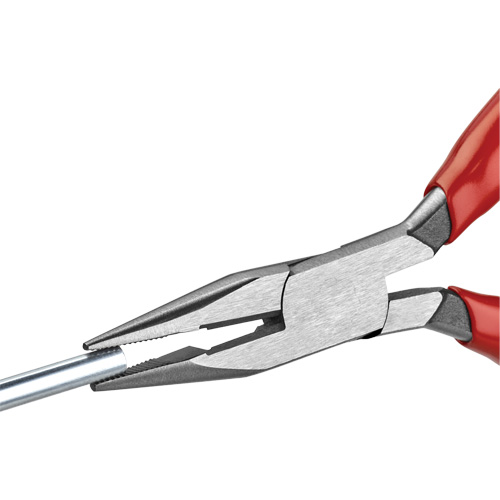 Long Nose Pliers with Cutter, 5" L Pronet Distribution