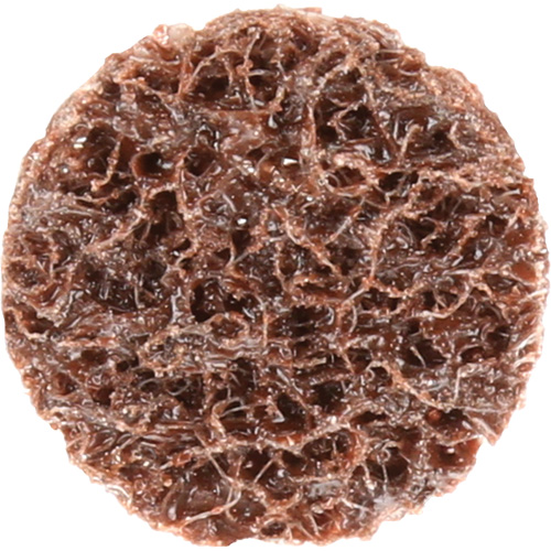 Disque de conditionnement de surface &agrave; remplacement rapide Standard Abrasives, 3/4" dia., Grain Cors&eacute;, Oxyde d'aluminium Pronet Distribution